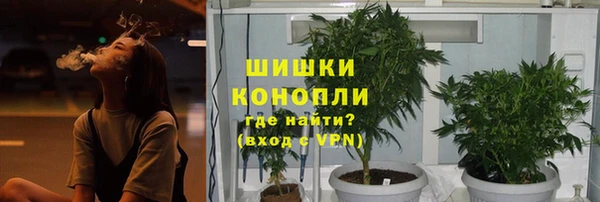 ГАЛЛЮЦИНОГЕННЫЕ ГРИБЫ Алексин