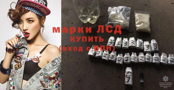 ГАЛЛЮЦИНОГЕННЫЕ ГРИБЫ Гусь-Хрустальный