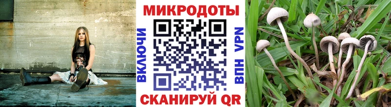 blacksprut   Грязовец  Галлюциногенные грибы мухоморы 